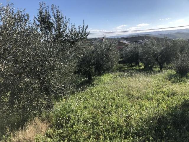 Terreno in vendita a Cupello, Abruzzo