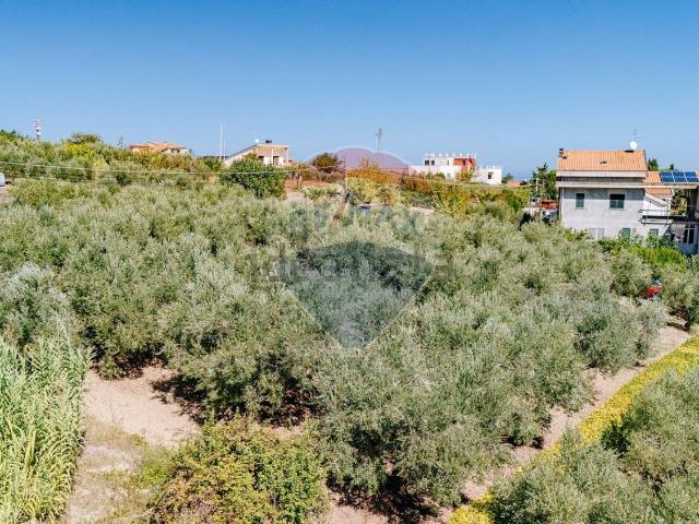 Terreno in vendita a Cupello, Abruzzo