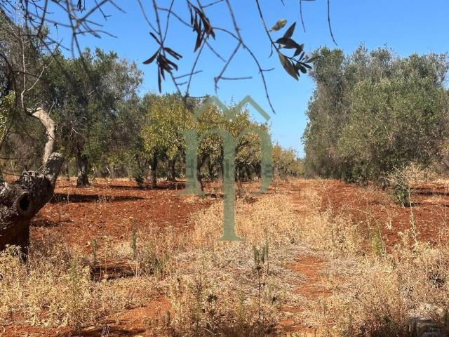 Terreno in vendita a Puglia, Brindisi