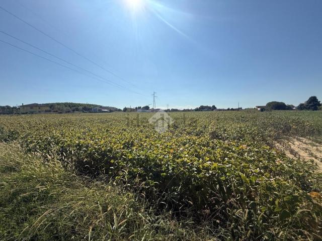 Terreno in vendita a Sant'Eufemia, Borgoricco