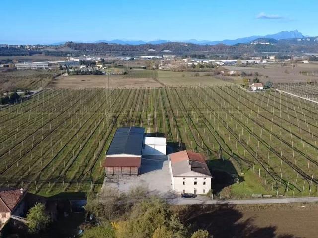 Terreno in vendita a Domegliara, Sant'ambrogio Di
