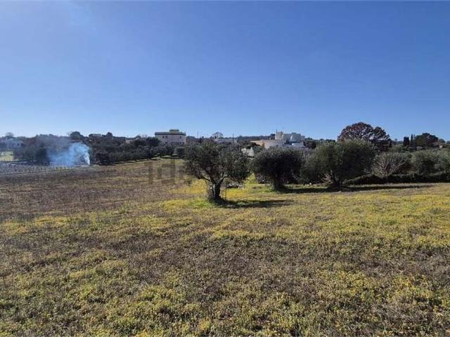 Terreno in vendita a Ostuni, Brindisi