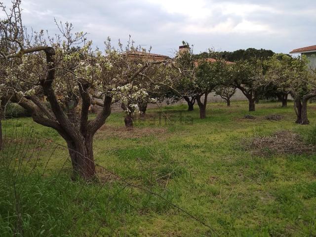 Terreno in vendita a Nurachi, Sardigna/Sardegna