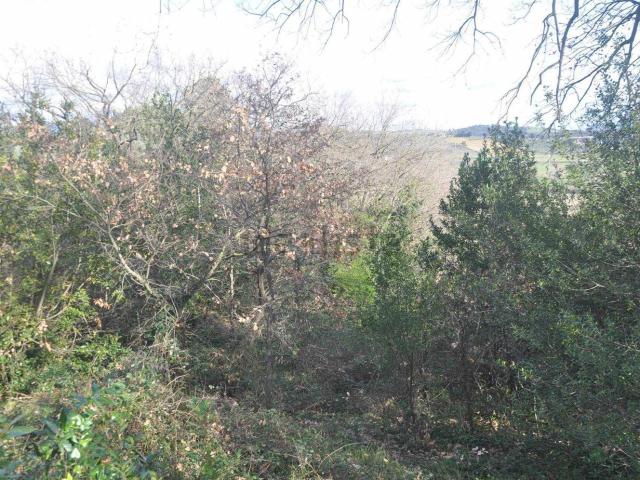 Terreno in vendita a Rosignano Marittimo, Toscana