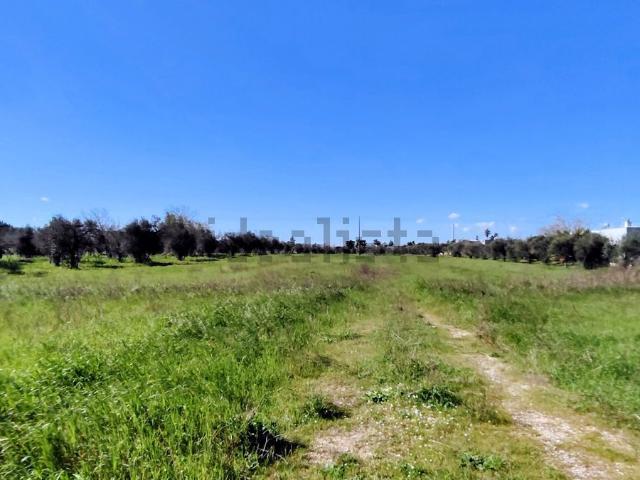 Terreno in vendita a Puglia, Brindisi