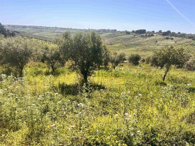 Terreno in vendita a Bordea, Sciacca