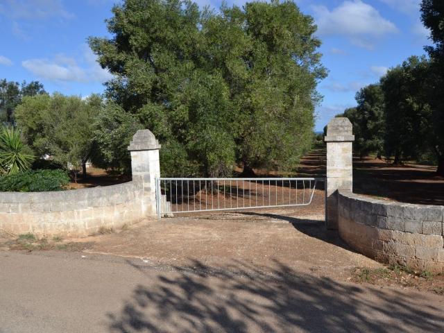 Terreno in vendita a Puglia, Brindisi