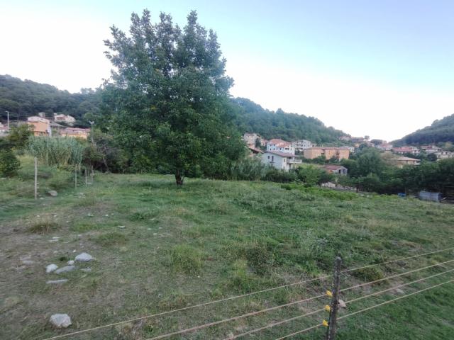 Terreno in vendita a Calabria, Cosenza