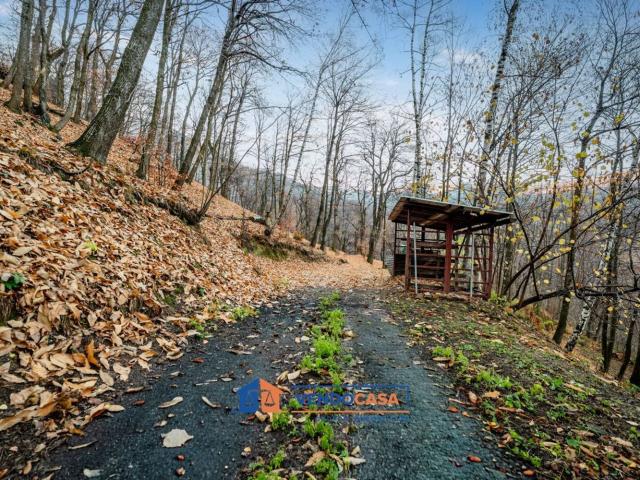 Terreno in vendita a Piemonte, Cuneo