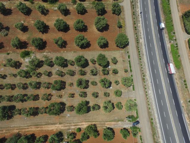 Terreno in vendita a Puglia, Brindisi