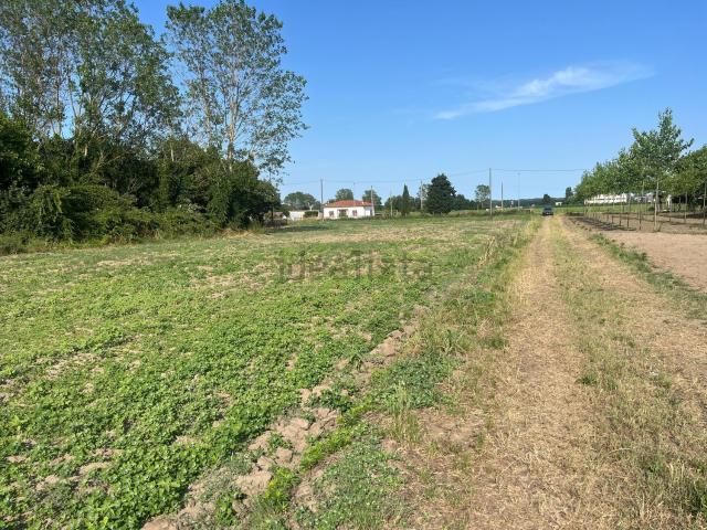 Terreno in vendita a Unione Delta del Po, Codigoro