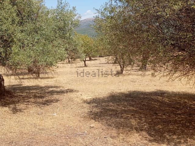Terreno in vendita a Dolianova, Sardigna/Sardegna