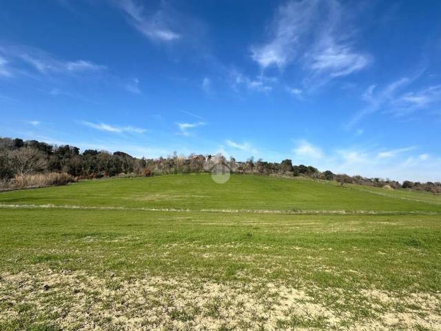 Terreno in vendita a Tuscania, Lazio