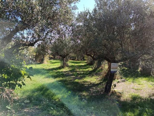 Terreno in vendita a Lanciano, Abruzzo