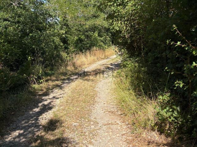 Terreno in vendita a Sgonico, Friuli-Venezia Giulia