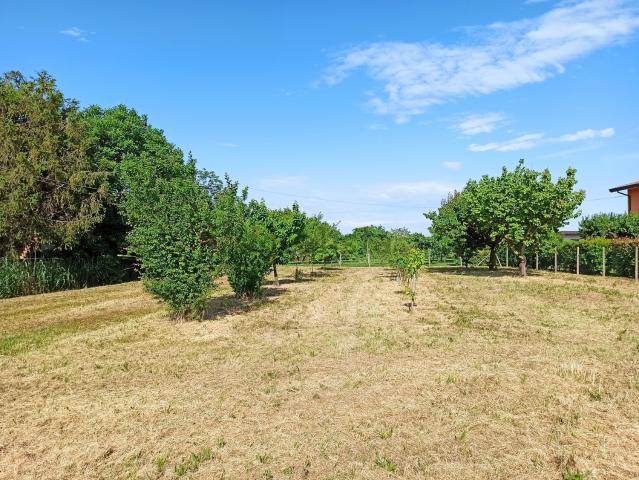 Terreno in vendita a Carlino, Friuli-Venezia Giulia