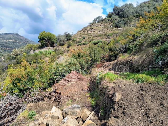 Terreno in vendita a Dolceacqua, Liguria