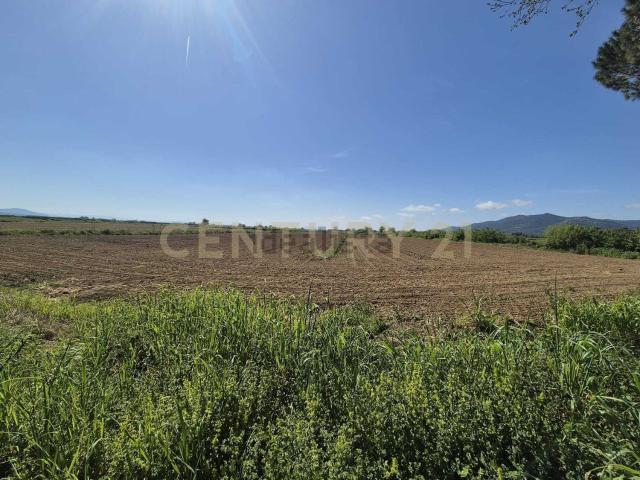 Terreno in vendita a Castiglione Della Pescaia, Toscana