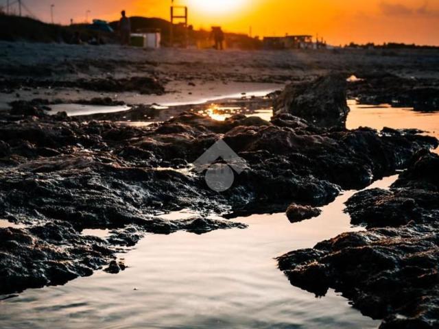 Terreno in vendita a Puglia, Brindisi