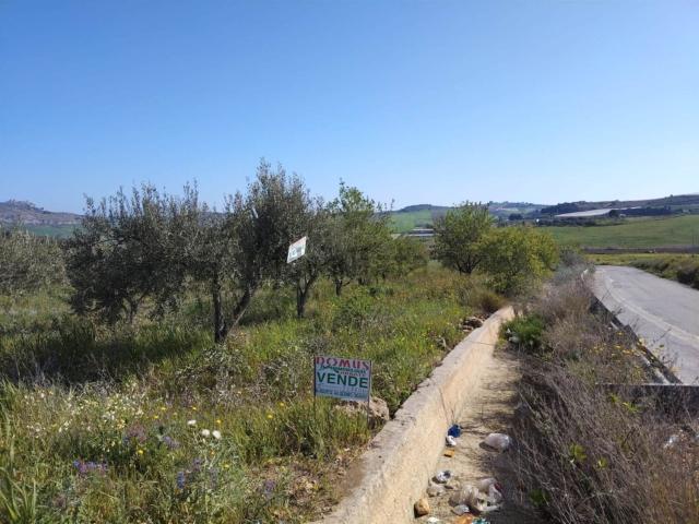 Terreno in vendita a Naro, Sicilia