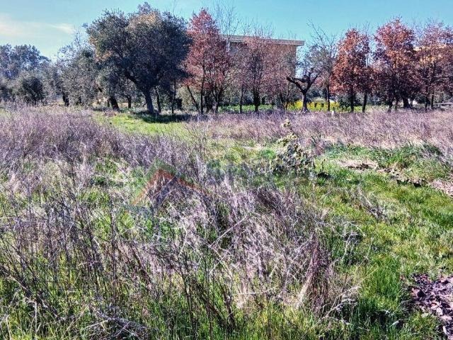 Terreno in vendita a Mosciano Sant'angelo, Abruzzo