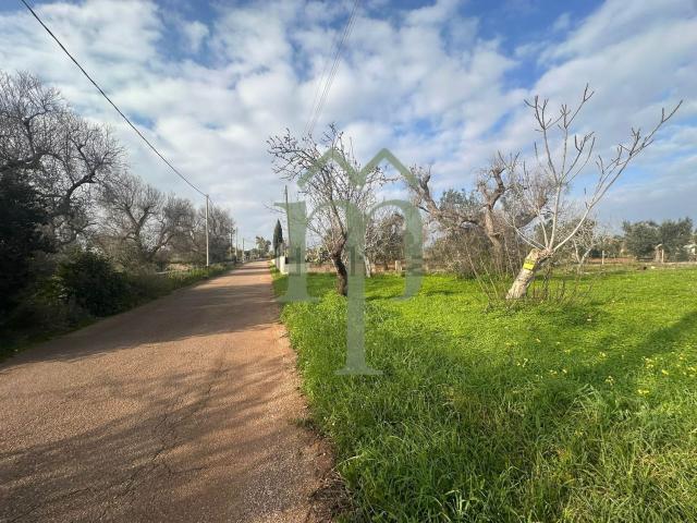 Terreno in vendita a Puglia, Brindisi