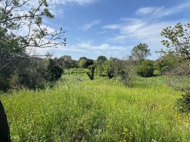 Terreno in vendita a Puglia, Brindisi