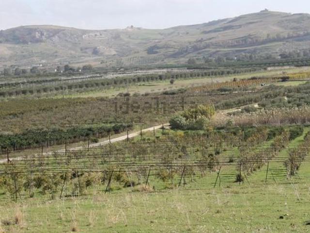 Terreno in vendita a Ribera, Sicilia
