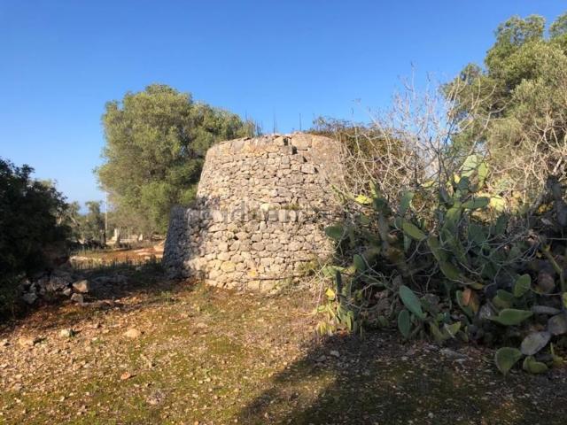 Terreno in vendita a Puglia, Brindisi