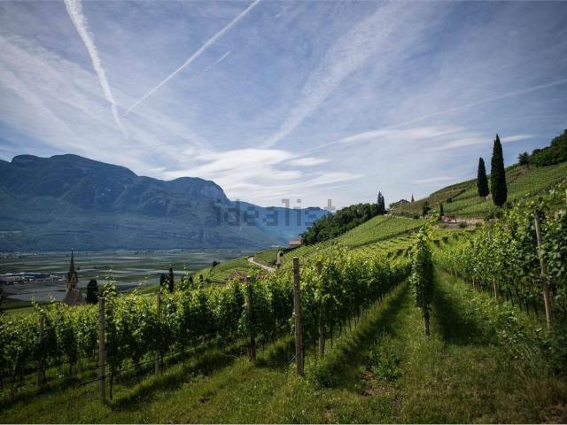 Terreno in vendita a Unione di comuni Terre di Castelli, Castelvetro Di Modena