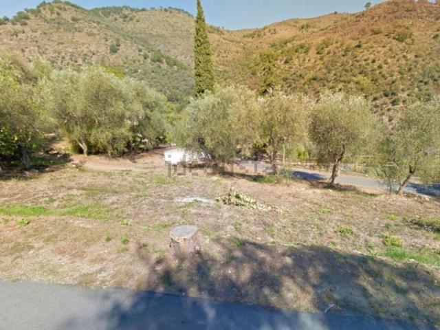 Terreno in vendita a Pietrabruna, Liguria