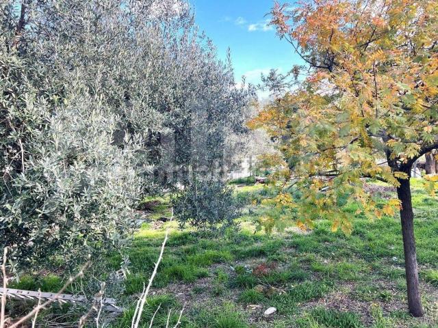 Terreno in vendita a Pozzilli, Molise