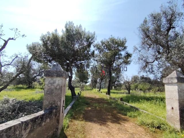 Terreno in vendita a Puglia, Brindisi