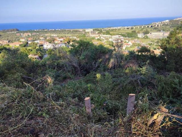 Terreno in vendita a Calabria, Catanzaro