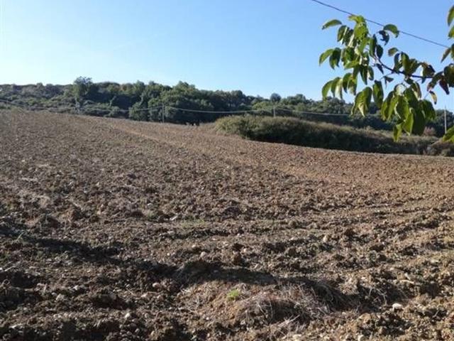 Terreno in vendita a Casalbordino, Abruzzo