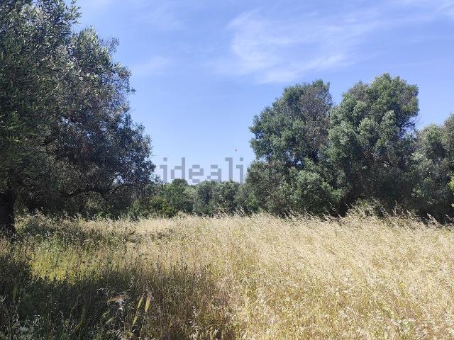Terreno in vendita a Puglia, Brindisi