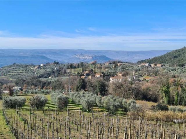 Terreno in vendita a Orvieto, Umbria