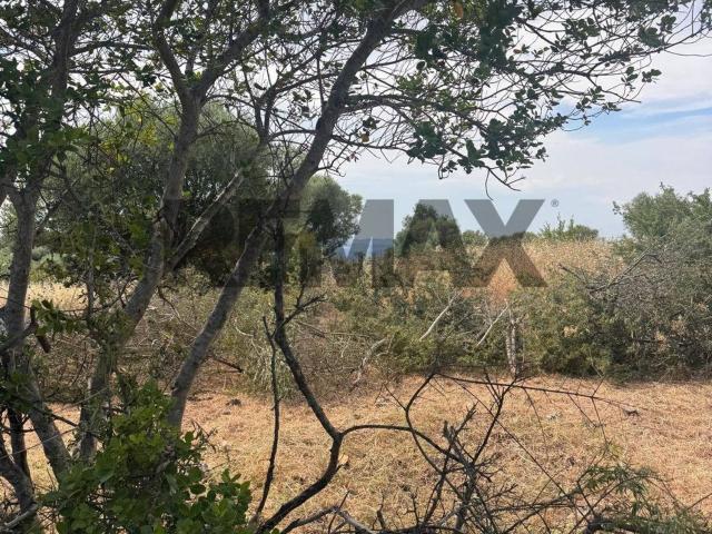 Terreno in vendita a Melilli, Siracusa