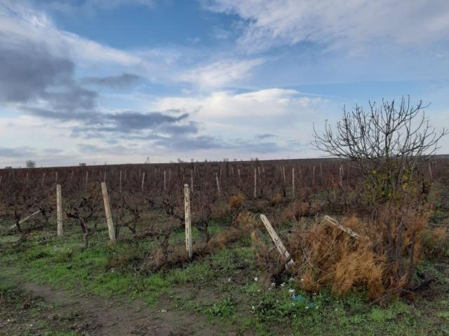 Terreno in vendita a Puglia, Taranto