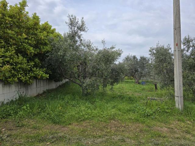 Terreno in vendita a Colle San Lorenzo, Vasto