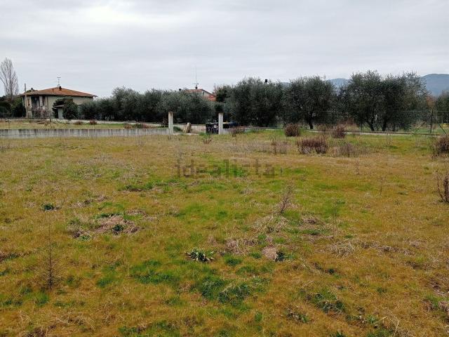 Terreno in vendita a Cortona, Toscana