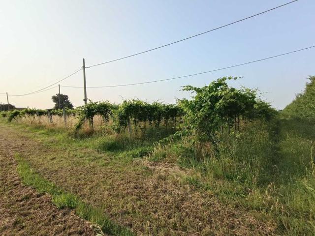 Terreno in vendita a Unione della Romagna Faentina, Faenza