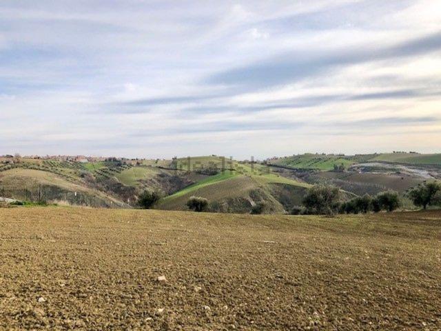 Terreno in vendita a Mosciano Sant'angelo, Abruzzo