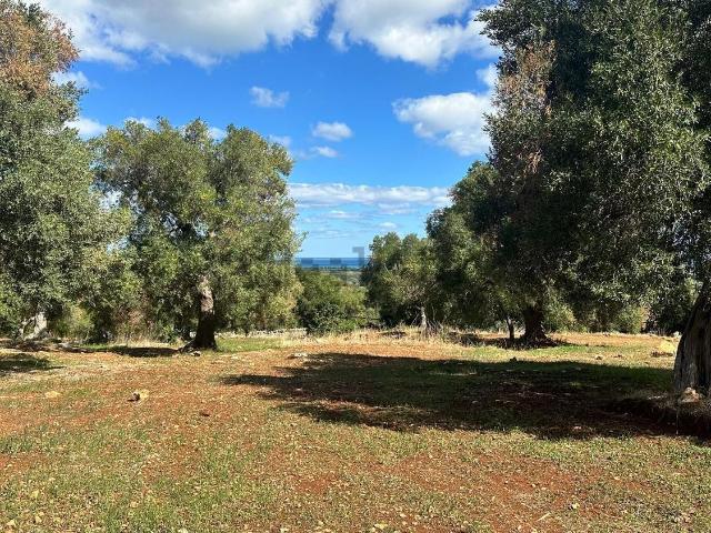 Terreno in vendita a Puglia, Brindisi