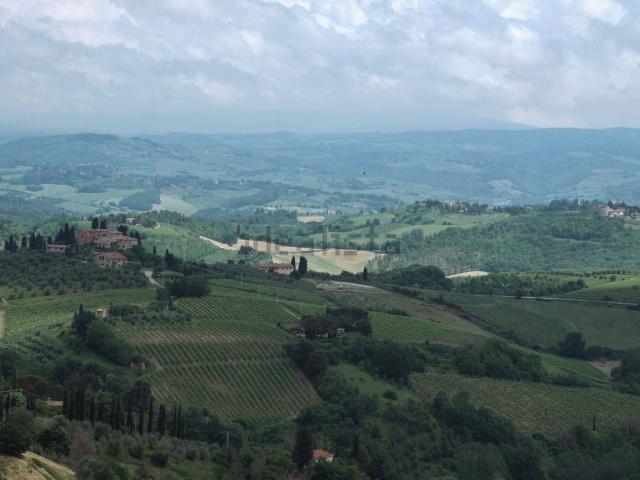 Terreno in vendita a Muggiò, Friuli-Venezia Giulia