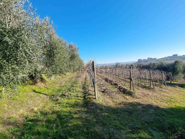Terreno in vendita a Trequanda, Toscana