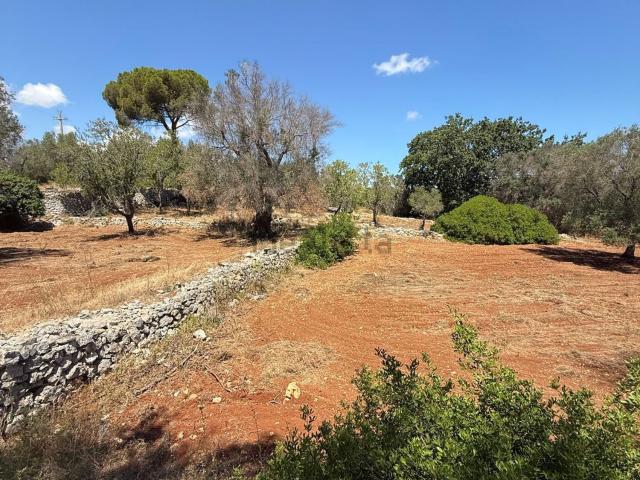 Terreno in vendita a Puglia, Brindisi