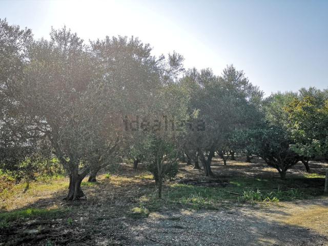 Terreno in vendita a Puglia, Brindisi