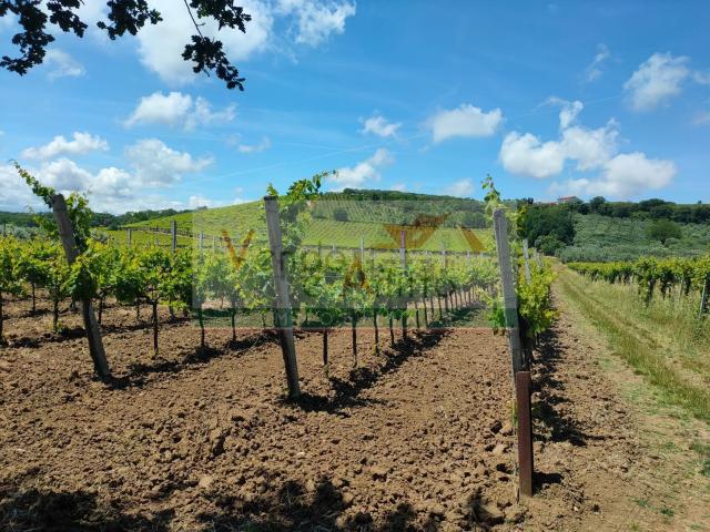 Terreno in vendita a Guarnera, Casalbordino