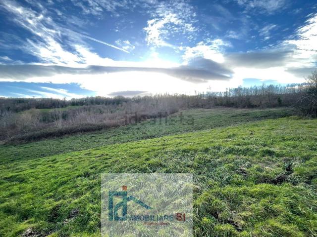 Terreno in vendita a Riccia, Molise